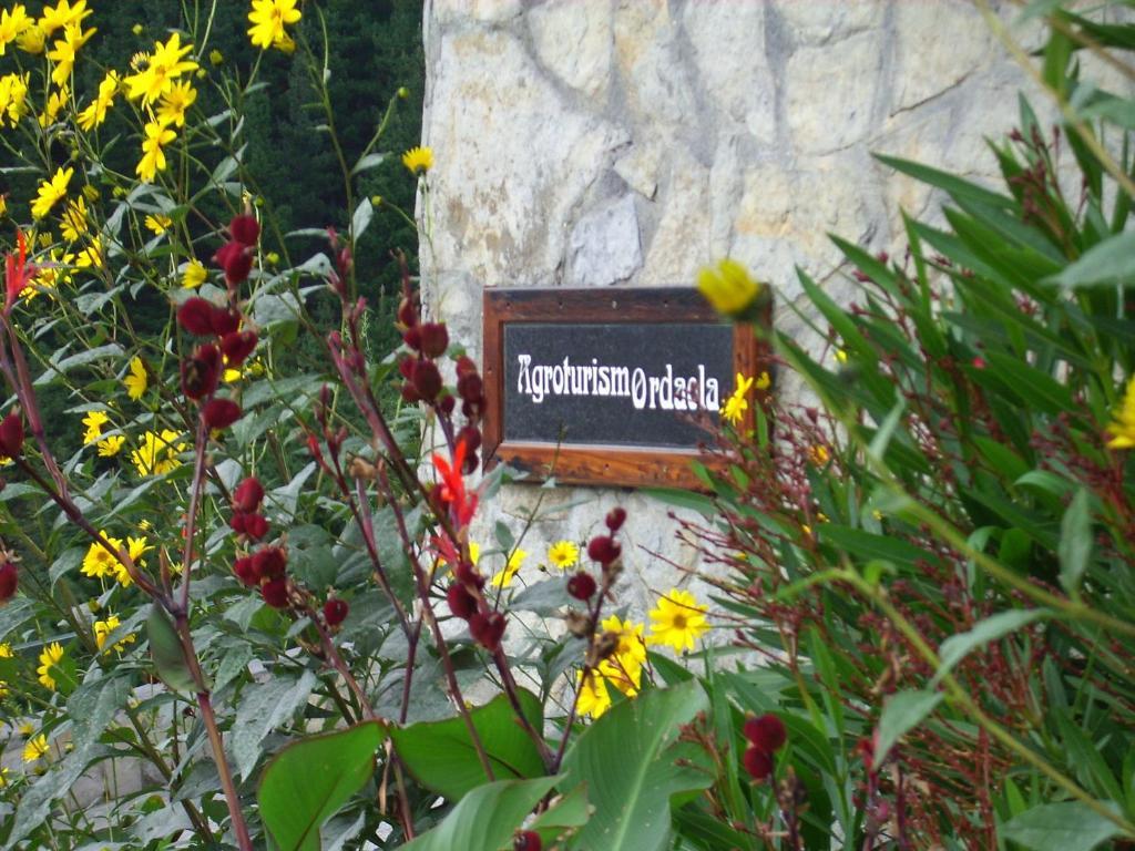 Agroturismo Ordaola Алонсотехи Экстерьер фото